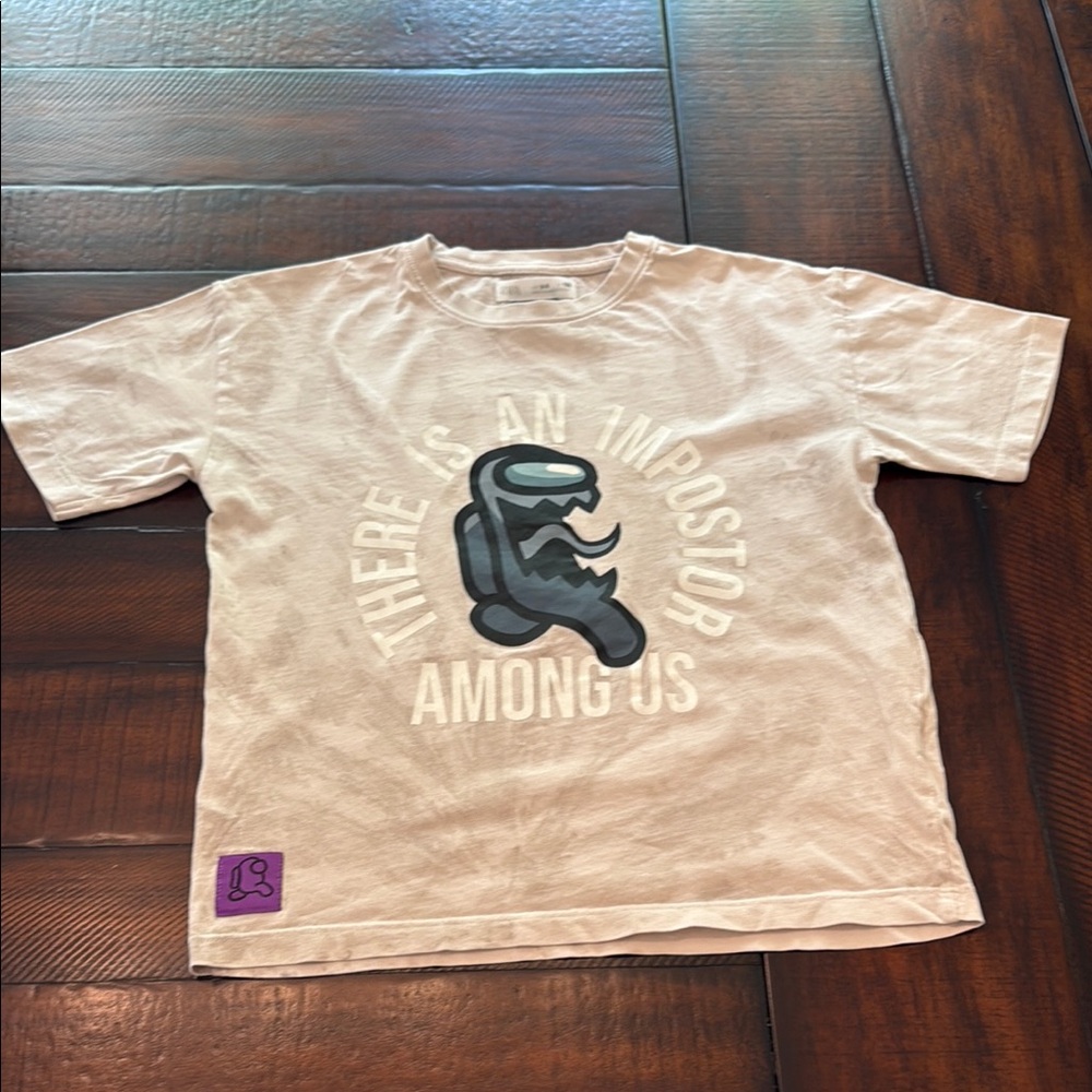 Zara Tan Short Sleeve Tee with Graphic Design